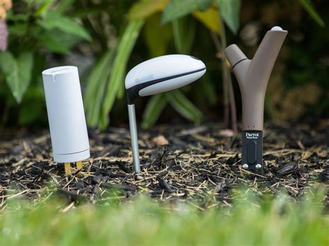 Three plant sensors want to be your garden assistant